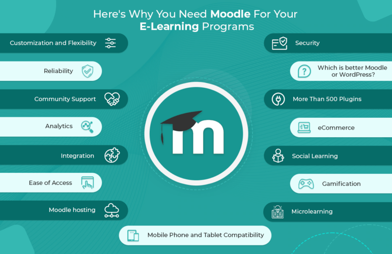 Moodle services including setup, customization, plugins, hosting, and support